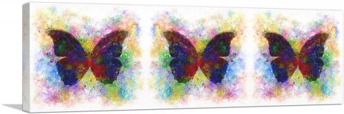 Three Black Dark Butterfly Wings Insect Panoramic