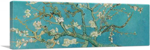 Branches with Almond Blossom - Teal Panoramic