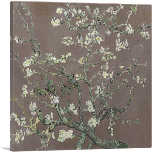 Branches with Almond Blossom - Brown Square 1890