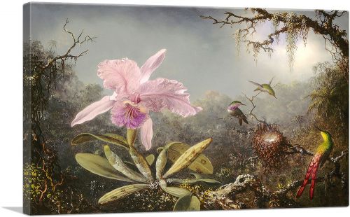 Cattleya Orchid and Three Hummingbirds 1871