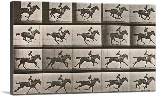Animal Locomotion - The Gallop 1887 (2)