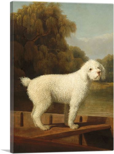 White Poodle in a Punt 1780