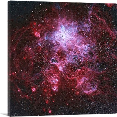 Tarantula Nebula Square Hubble Telescope NASA Photograph