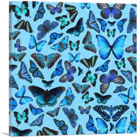 Navy Baby Blue Butterfly Wings Insect