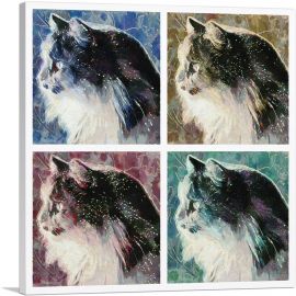 Persian Cat Breed Collage