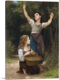 Harvest Of Hazelnuts 1883