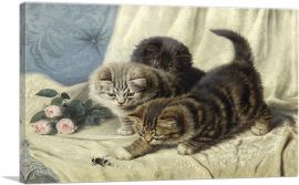 Three Kittens With Roses And Bee