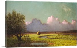 Sunlight and Shadow - The Newbury Marshes 1885-1-Panel-12x8x.75 Thick