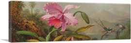 Orchids and Hummingbirds Panoramic-1-Panel-36x12x1.5 Thick