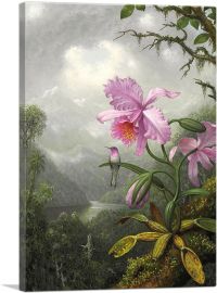 Hummingbird Perched on the Orchid Plant 1901-1-Panel-18x12x1.5 Thick