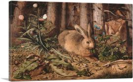 A Hare In The Forest 1585