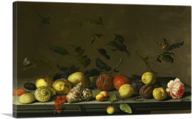 Still Life With Fruit, Shells, Rose and Insects