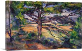 Great Pine Near Aix - Large Pine and Red Earth 1897