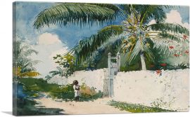 A Garden in Nassau 1885