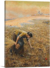 Gleaning