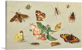Butterflies Moths a Dragonfly And Insects With a Spring Of Apple Blossoms-1-Panel-18x12x1.5 Thick