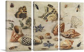 Shells Butterflies And Flowers-3-Panels-60x40x1.5 Thick