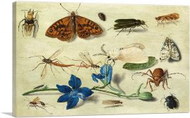 Still Life Of Moths Insects And a Parma Violet-1-Panel-18x12x1.5 Thick