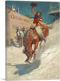 Bronco Buster 1906